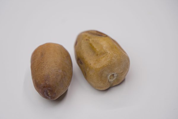 ⁦عرض مفتل سكرى نصف جاف 3.5 +علبة نبته علي هديه⁩ - الصورة ⁦3⁩